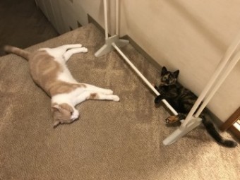 IMG_1254 IMG_1254-e1539502074682